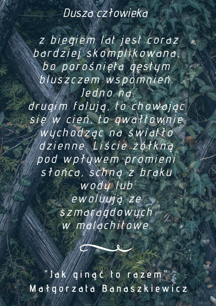 Dusza człowieka z biegiem lat jest coraz bardziej skomplikowana, bo porośnięta gęstym bluszczem wspomnień. Jedno na drugim falują, to chowając się w cień, to gwałtownie wychodząc na światło dzienne. Liście żółkną pod wpływem promieni słońca, schną z braku wody lub ewoluują ze szmaragdowych w malachitowe. 